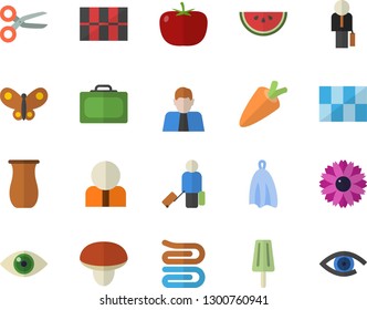 Color flat icon set tile flat vector, towel, jugful, mushroom, tomato, carrot, watermelon, ice cream, flower, butterflies, person, businessman, luggage fector, suitcase, scissors, eye