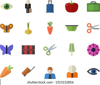 Color flat icon set tile flat vector, colander, tomato, onion, carrot, ice cream, flower, butterflies, person, businessman, luggage fector, suitcase, scissors, eye