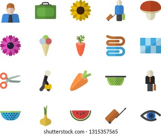 Color flat icon set tile flat vector, colander, towel, mushroom, onion, carrot, watermelon, ice cream, flower, person, businessman, luggage fector, suitcase, scissors, eye