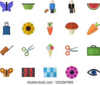 Color flat icon set tile flat vector, colander, mushroom, carrot, watermelon, ice cream, flower, butterflies, businessman, luggage fector, suitcase, scissors, eye