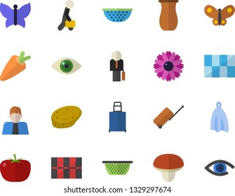 Color flat icon set tile flat vector, colander, towel, jugful, mushroom, potato, tomato, carrot, flower, butterflies, person, businessman, luggage fector, eye