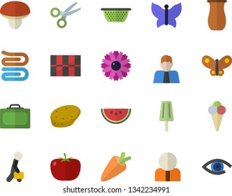 Color flat icon set tile flat vector, colander, towel, jugful, mushroom, potato, tomato, carrot, watermelon, ice cream, flower, butterflies, person, businessman, suitcase fector, scissors, eye