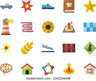 Color flat icon set tile flat vector, warm floor, cookbook, pickup truck, flower, laser, lighthouse, molecules, spark, ear, brain, sneakers, arrival fector, starfish, pets allowed, house