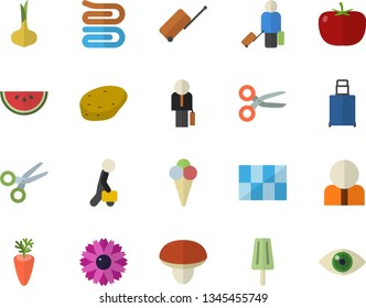 Color flat icon set tile flat vector, towel, mushroom, potato, tomato, onion, watermelon, carrot, ice cream, flower, person, businessman, luggage  , scissors, eye