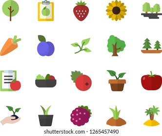 Color flat icon set tomato flat vector, carrot, salad, cranberry, Strawberry, blackberry, plum, home plant, tree, flower, seedlings, planting plants, leaf, forest, diet, island fector