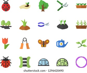 Color flat icon set tree flat vector, ladybird, secateurs, seedlings, watering can, planting plants, tulip, butterflies, greenhouse, leaf, forest, carpal expander, hoop
