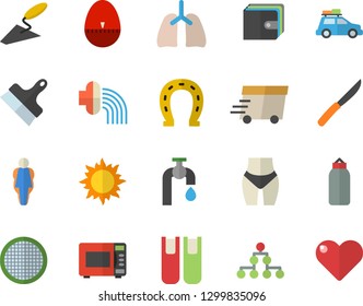 Color flat icon set trowel flat vector, putty knife, kitchen egg timer, knives, microwave, sieve, horseshoe, hose irrigation, water tap, sun, purse, express delivery, lungs, book, classification