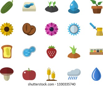 Color flat icon set turk flat vector, gas, spice, coffee beans, tomato, cucumber, Strawberry, sandwich, mushroom, ear, home plant, flower, planting plants, rain, pond, pool, drop