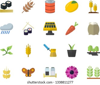 Color flat icon set turk flat vector, spice, flour, ear, lemon, canned food, fish rolls, home plant, carrot, flower, butterflies, rain, solar battery, tree leaf, forest