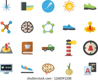Color flat icon set warm floor flat vector, cookbook, onion, pickup truck, laser, lighthouse, target audience, computer diagnostics of health, molecules, sperm, molecule, brain, sneakers, arrival