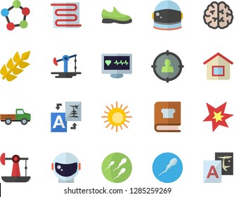 Color flat icon set warm floor flat vector, cookbook, pickup truck, oil pumping, target audience, computer diagnostics of health, molecules, sperm, spark, ear, brain, astronaut helmet fector, sun