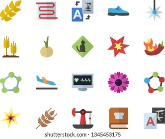 Color flat icon set warm floor flat vector, cookbook, ear, onion, hot peppers, flower, oil pumping, laser, computer diagnostics of health, molecules, molecule, spark, sneakers, arrival  