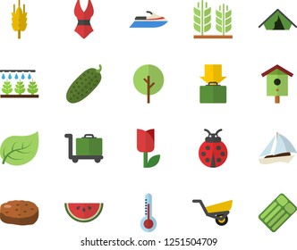 Color flat icon set watermelon flat vector, cutlet, cucumber, thermometer, ear, nesting box, tree, ladybird, sprinkling machine, garden wheelbarrow, tulip, leaf, swimsuit, sailboat fector, tent