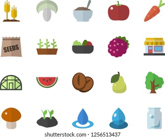 Color flat icon set watermelon flat vector, mushroom, salad, porridge, coffee beans, tomato, blackberry, pear, seeds, ear, carrot, tree, grain warehouse, planting plants, seedlings, greenhouse, drop