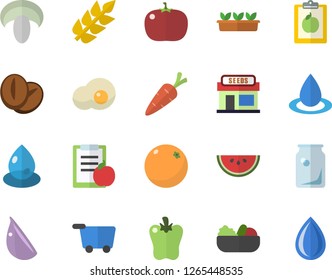Color flat icon set watermelon flat vector, mushroom, salad, coffee beans, garlic, bell pepper, tomato, scrambled eggs, orange, carrot, grain warehouse, seedlings, drop, glass bottles, ear, diet