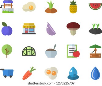 Color flat icon set watermelon flat vector, porridge, garlic, scrambled eggs, pineapple, plum, mushroom, well, carrot, tree, grain warehouse, planting plants, greenhouse, drop, diet