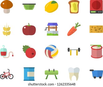 Color flat icon set weighing machine flat vector, colander, lemon, cheese, mushroom, tomato, cranberry, sandwich, ear, well, carrot, blood transfusion, dental crowns, barbell, volleyball, proteins