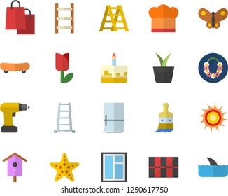 Color flat icon set window flat vector, drill screwdriver, ladder, tile, cook hat, fridge, cake, nesting box, home plant, paint brush, tulip, butterflies, bags, skateboard, sun fector, starfish