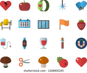 Color flat icon set window flat vector, concrete mixer, mushroom, tomato, wine, cranberry, Strawberry, laser, flag, calendar, blood transfusion, test, boxing gloves, fitness bracelet, scissors
