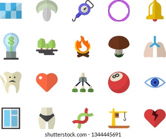 Color flat icon set window flat vector, tile, spring balance, mushroom, bonfire, forest, crane, idea, heart, eye, DNA, broken tooth, lungs, hierarchy, bowling ball, waistline, hoop, bell