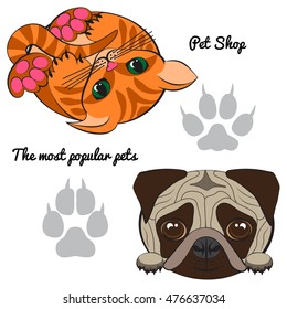 Color flat icons of pet shop