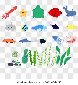 Color flat sea fish, whale, squid, turtle, sea star, algal dolphin. Big set sea aquarium animals black and white illustration on transparent background.