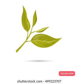 Color flat tea leafs icon. Flat design