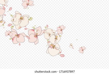 Color Floral Plant Vector Transparent Background. Delicate Flower Illustration. White Bouquet Drawn Banner. Orchid Art Template.