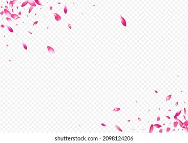 Color Floral Vector Transparent Background. Flower Rain Banner. Sakura Beauty Illustration. Petal Romance Design. White Leaf Wedding Poster.