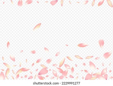 Color Floral Vector Transparent Background. Flower Blur Congratulation. Sakura Dream Illustration. Confetti Realistic Design. Bright Cherry Graphic Backdrop.