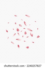 Color Floral Vector Transparent Background. Petal SummerDrop Template. Rose Graphic Design. Peach Spa Pattern. Pink Blossom Blow Illustration.