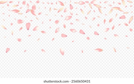 Color Floral Vector Transparent Background. Rosa SummerDrop Congratulation. Flower Aroma Illustration. Rose March Texture. Red Petal Wedding Pattern.