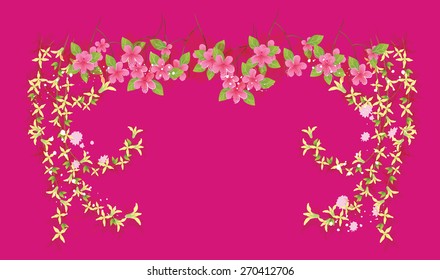 color flower background