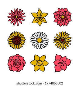 Color flower. Doodle vector set. Hand drawn cartoon sketch floral collection. Types of flowers. Chamomile, rose, sunflower, aster, amaryllis, daffodil, lotus, lily and gerbera
