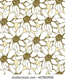 color flower on grey background.
