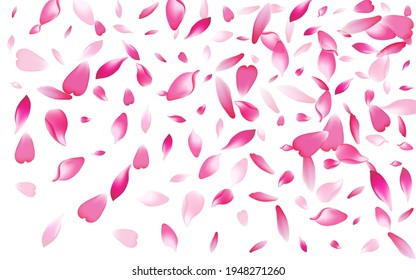 Color Flower Petal Vector White Background. Transparent Japanese Apple Petal Design. Lotus Petal Free Illustration. Blossom Peach Petal Pattern.