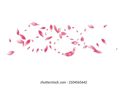 Color Flower Petal Vector White Background. Pastel Blossom Cherry Petal Cover. Rose Petal Wedding Card. Romantic Peach Petal Banner.