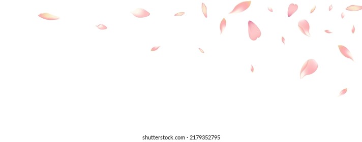 Color Flower Petal Vector White Background. Pastel Aroma Apple Petal Design. Rose Petal Fly Product. Invitation Cherry Petal Congratulation.