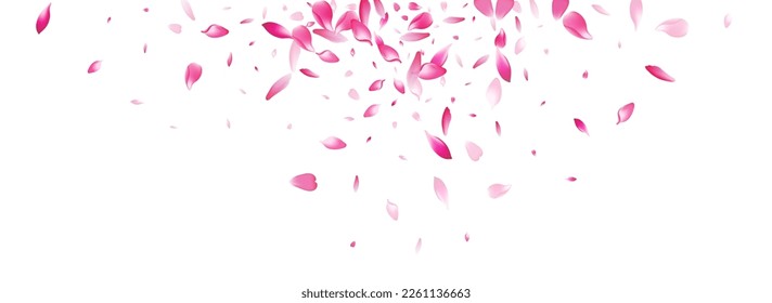 Color Flower Petal Vector White Background. White Realistic Rose Petal Card. Lotus Petal 3d Frame. Beauty Peach Petal Template.