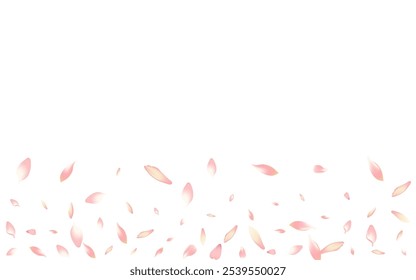 Fondo blanco del Vector del pétalo de la flor del color. Textura transparente de pétalo de melocotón de spa. Marco libre del pétalo del loto. Flying Sakura Pétalo Felicitaciones.