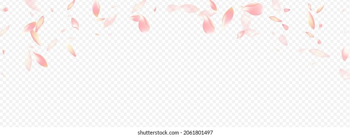 Farbblume, Vektorgrafik, transparenter Hintergrund. Rose SummerDrop Texture. Vorlage zur Einladung von Kirschen. Lotus Spa Hintergrund. Leichter Confetti Hochzeitsgratulation.