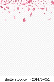 Color Flower Vector Transparent Background. Blooming Garden Design. Tree Spring Congratulation. Petal Beauty Card. Light Sakura Wallpaper Pattern.