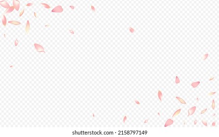 Color Flower Vector Transparent Background. Petal Down Banner. Confetti Japan Cover. Bloom Sky Illustration. Pink Sakura Mother Congratulation.