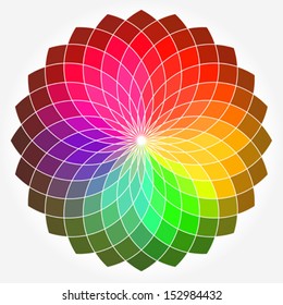 Color flower vector wheel 