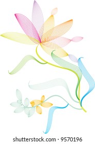 color flowers