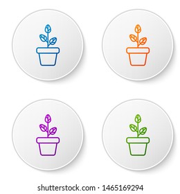 Color Flowers in pot icon isolated on white background. Plant growing in a pot. Potted plant sign. Set icons in circle buttons. Vector Illustration