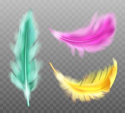 Color Fluffy Feathers Vector Realistic Set Isolated On Transparent Background. Yellow Green Pink Soft Feathers From Wings Of Tropical Birds Or Angel, Symbol Of Softness And Purity, Design Element