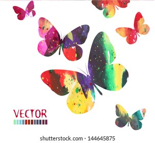 color flying butterflies