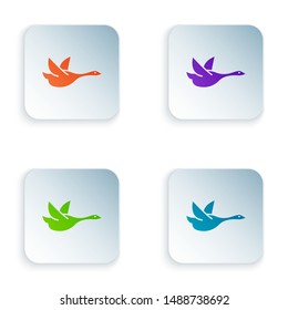Color Flying duck icon isolated on white background. Set icons in colorful square buttons. Vector Illustration