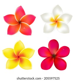 Color Frangipanis Set, With Gradient Mesh, Vector Illustration